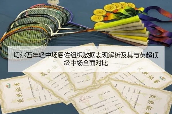 切尔西年轻中场恩佐组织数据表现解析及其与英超顶级中场全面对比